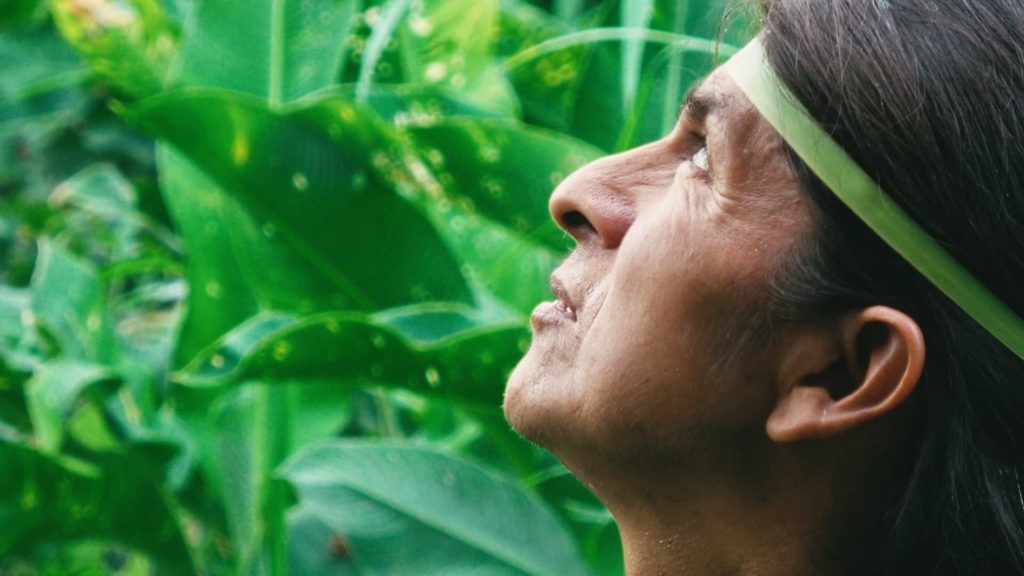 Фестиваль INTERDOC: “Основной критерий отбора — интересная история”