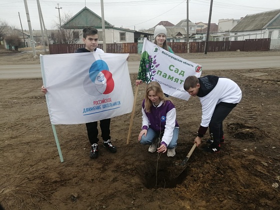 В Волгоградской области стартовала акция «Сад памяти»