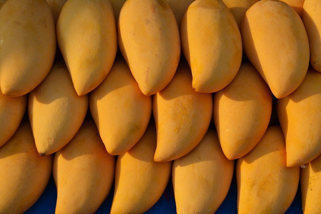 Пакистан будет поставлять манго в Россию в коммерческих масштабах
