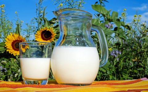 Введение экосбора не приведет к росту цен на молоко в России