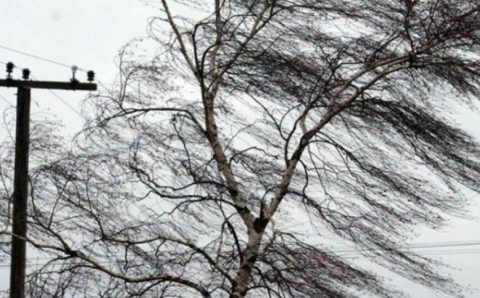 В Севастополе объявлено экстренное предупреждение из-за сильного ветра