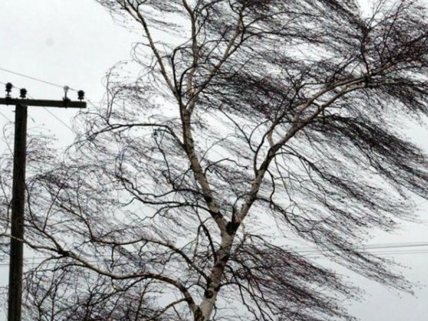 В Севастополе объявлено экстренное предупреждение из-за сильного ветра