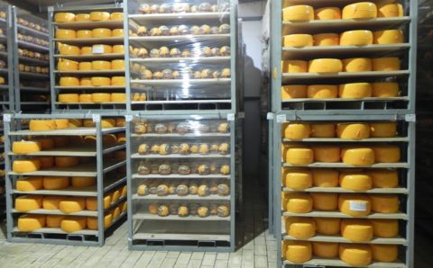 В Барнауле с 1 июня начнут маркировать молочную продукцию