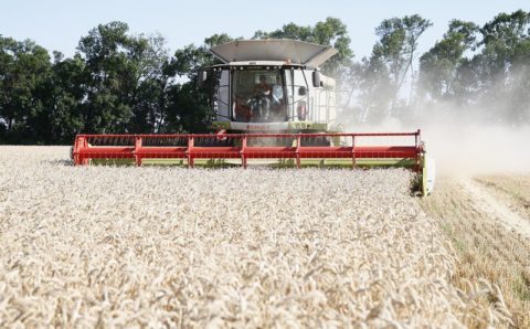 В 2021 году аграрии Кубани уже получили сельхозтехнику на 4 млрд рублей