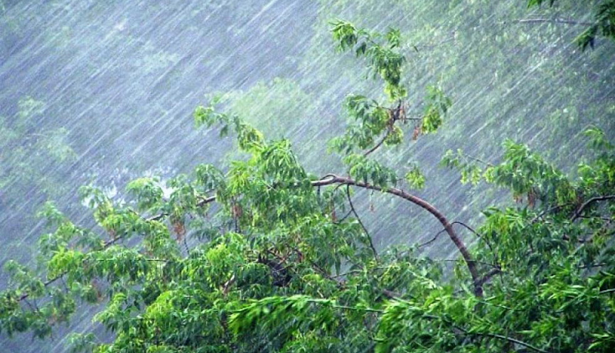 Сахалинцев предупредили о сильном дожде и ветре