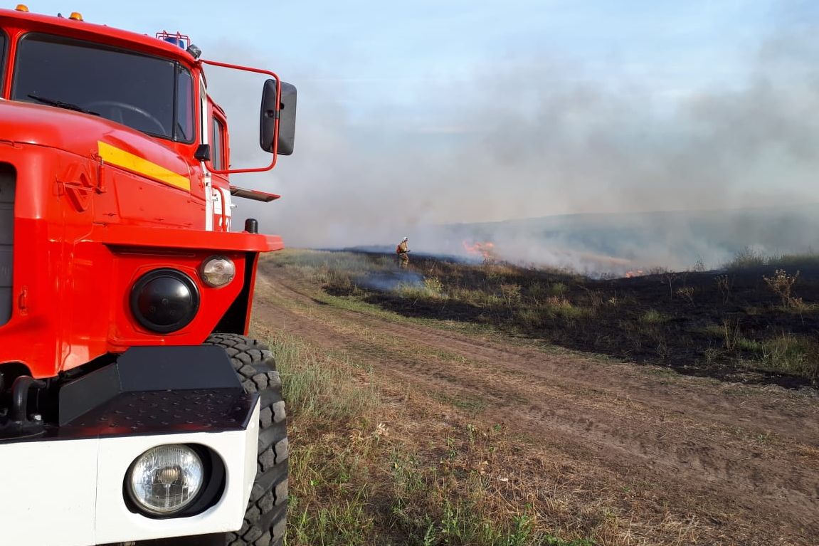 Правительство Ростовской области установит особый противопожарный режим