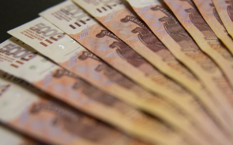 Кабмин выделил 2 млрд рублей на поддержку птицеводства и рыбного хозяйства