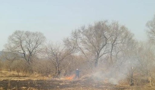 Приморские патрульные задержали на горячем поджигателя травы