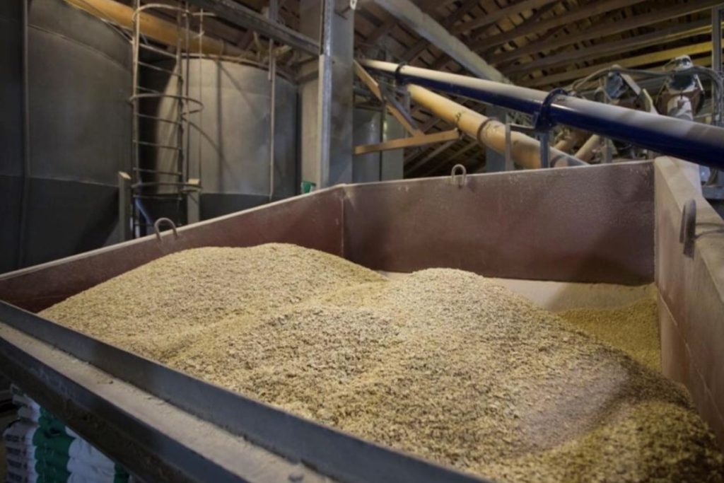 В Коломенском округе к концу года откроют новый комбикормовой завод