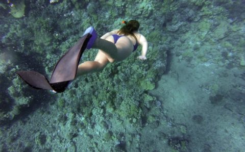 Первая в России подводная экотропа открылась на Алтае