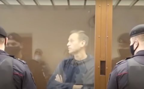 Карнаухов: возвращение Навальному статуса «узник совести» навязано Западом