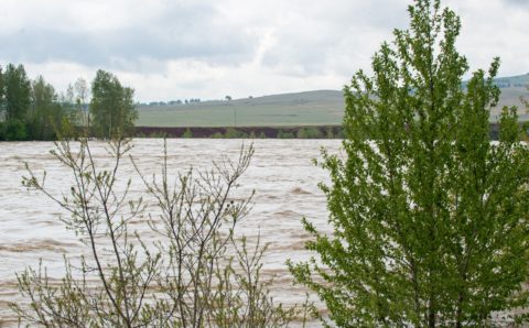 Глава Хакасии: вода в реке Абакан постепенно убывает