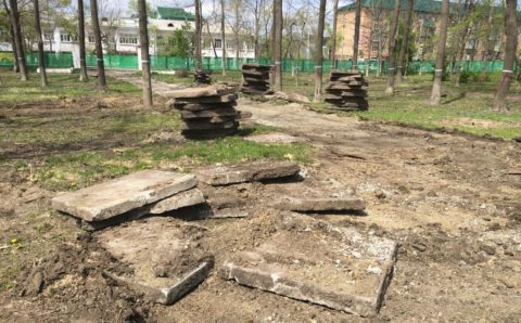 В детском парке Артёма появятся амфитеатр и библиотека