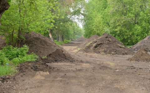 На строительство аллеи в барнаульском поселке выделили 99 млн рублей