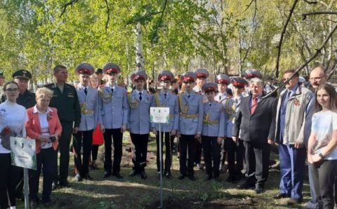 В Вольске высадят «Сад памяти» в честь летчика Виктора Талалихина