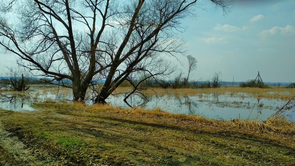 В нескольких районах Амурской области ввели режим ЧС