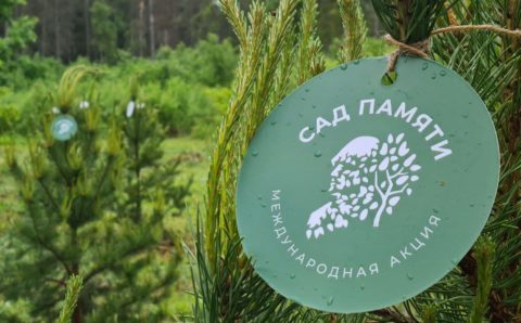 «Сад памяти» появился в Одинцовском округе Подмосковья