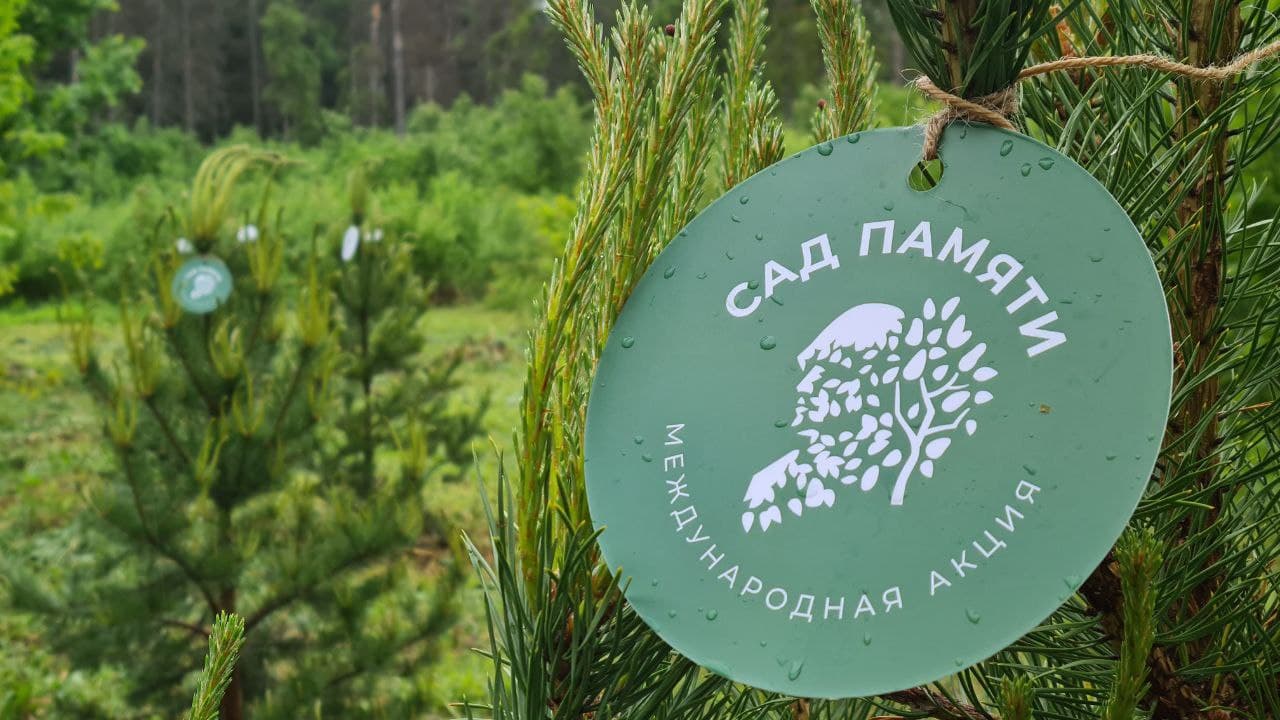 «Сад памяти» появился в Одинцовском округе Подмосковья