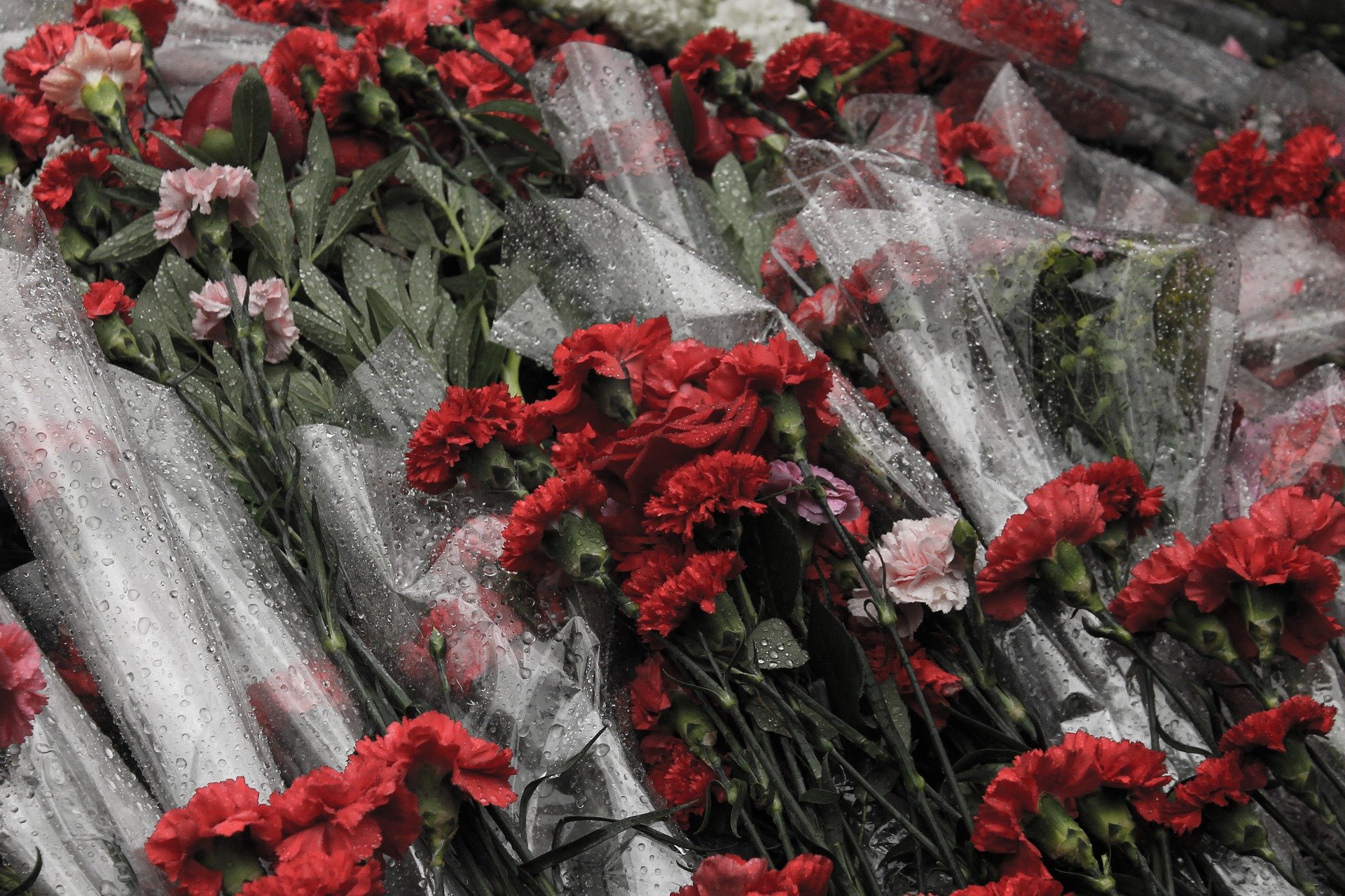 В столице пройдет акция «Цветы Победы»