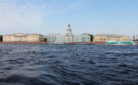 В Петербурге закрыли сады и скверы