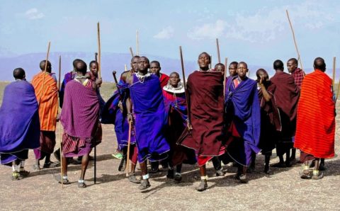 Красноярцам предложили изучать африканский язык суахили