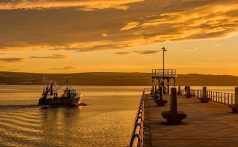 Немецкие инвесторы примут участие в строительстве порта в Астрахани