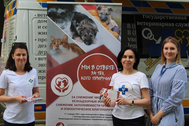 В Ленинградской области зоозащитников объединили в общественный совет