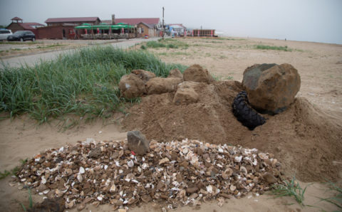 Самый популярный пляж в Приморье очистят в июле