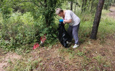 Акция «Очистим лес от мусора» прошла в Ярославской области