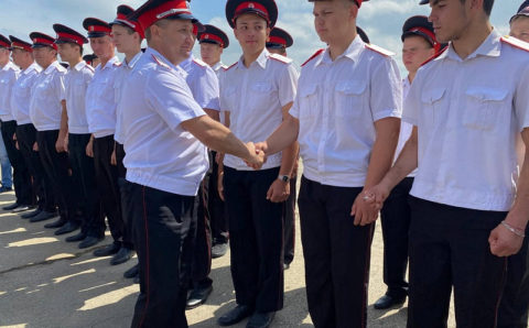 В Кубанское казачье войско вступило более тысячи человек
