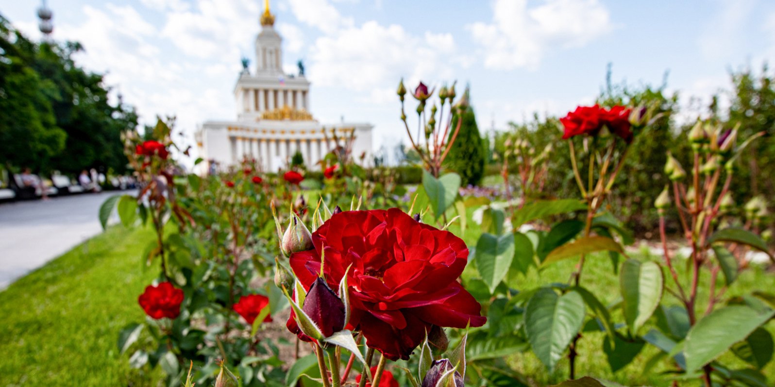 Собянин пообещал украсить Москву миллионами цветов