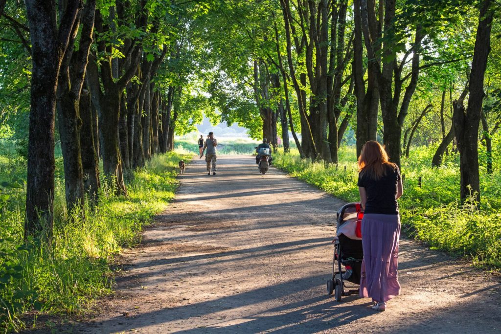В Красноярске построят новый сквер Семейный