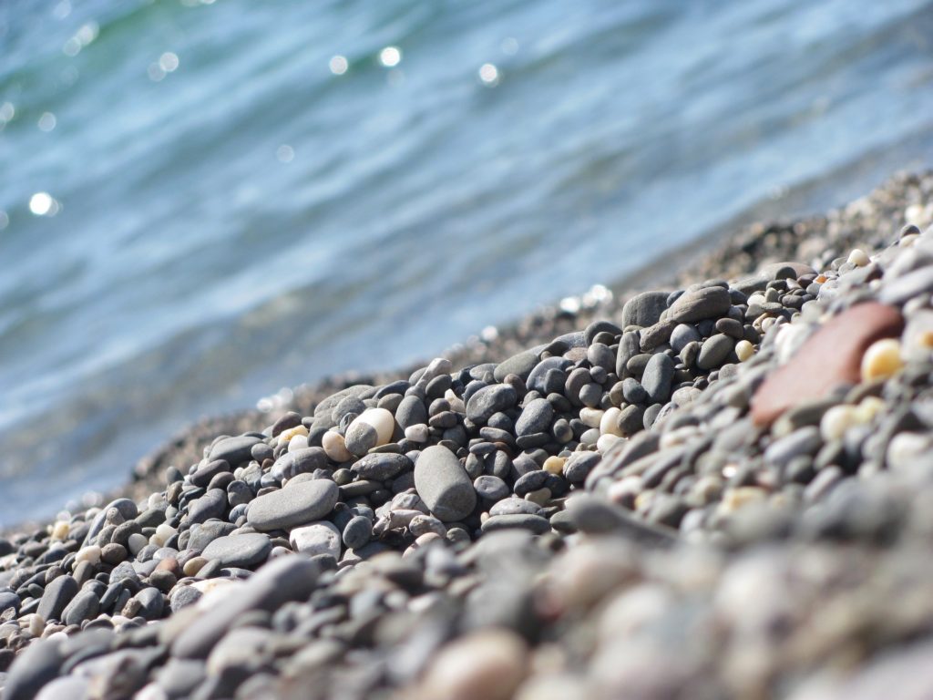 В Ялте проверят морскую воду на холеру