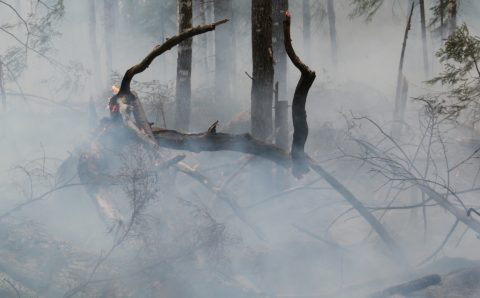 Лесной пожар вплотную подошёл к якутскому посёлку