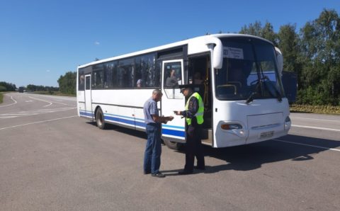 Тамбовские автоинспекторы начнут массово проверять водителей автобусов