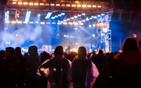 В Тульской области отменили фестиваль «Дикая мята»