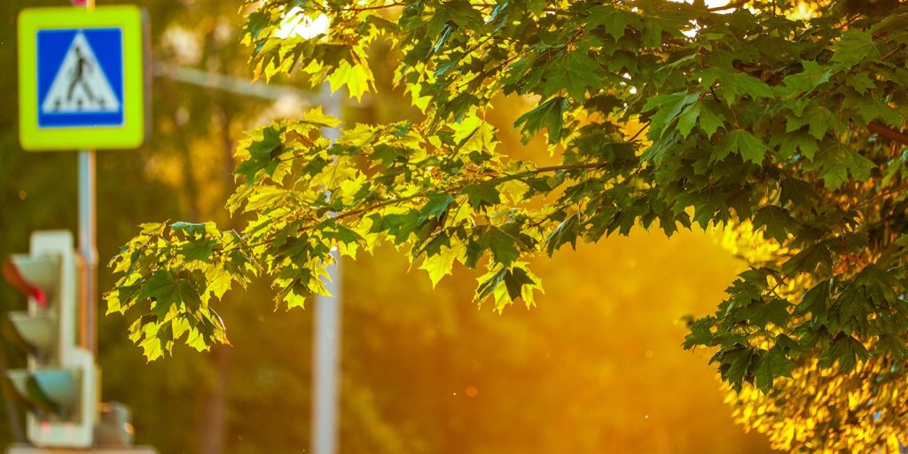 Синоптик предупредил москвичей о спаде жары