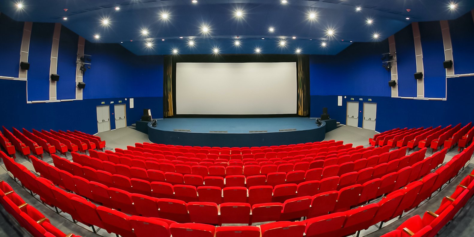 Летние кинотеатры «Москино» вновь заработают в столице