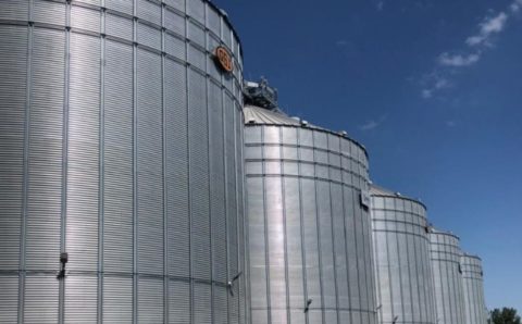 Ростовская область освоит производство глубокой переработки пшеницы