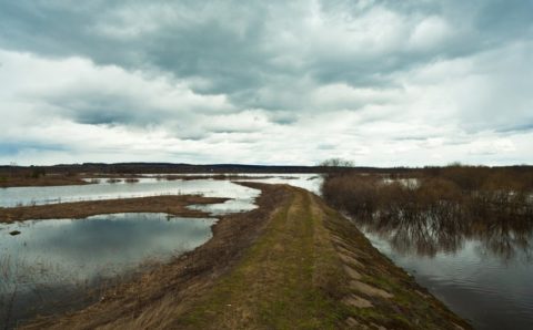 Паводок в Амурской области нанес ущерб на миллиард рублей