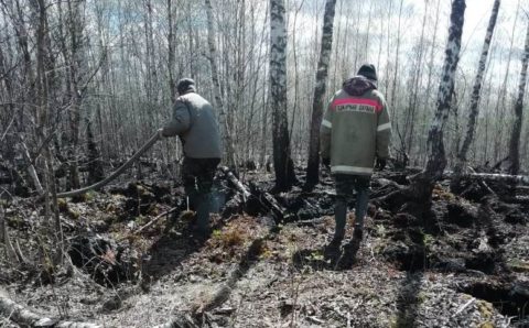 В Ярославской области усилят контроль за пожароопасной обстановкой