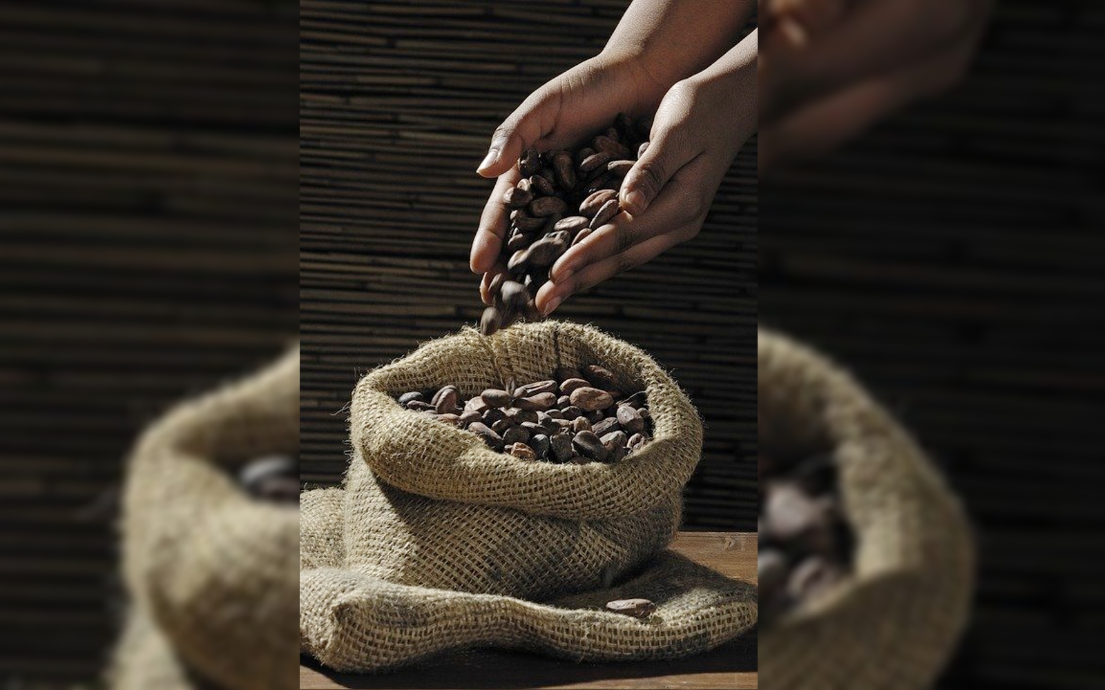 От какао-бобов к шоколадной революции. Как зарождался волшебный напиток?