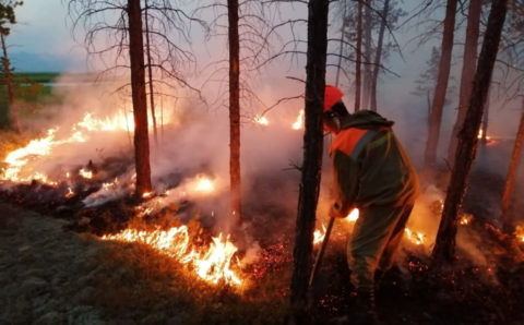 Искусственные дожди помогают бороться с лесными пожарами в Якутии