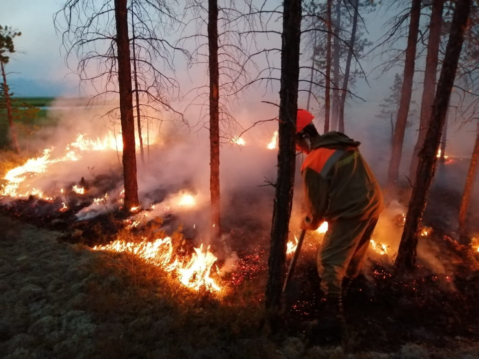 Искусственные дожди помогают бороться с лесными пожарами в Якутии