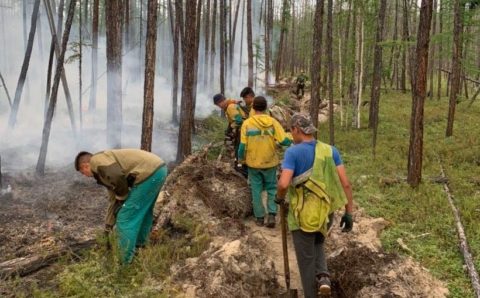 Мобилизированные для тушения лесных пожаров якутянам оплатят работу