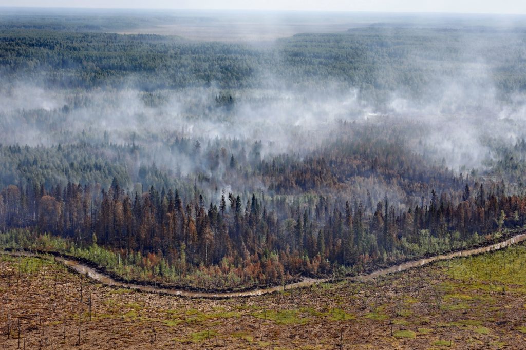 Вологодская область борется с крупными пожарами