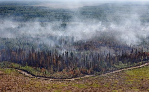 Вологодская область борется с крупными пожарами