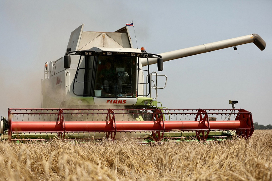 На Кубани собрали рекордный урожай зерна