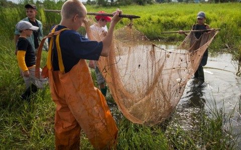 Астраханские школьники спасают популяцию рыбы