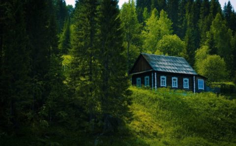 На севере Сахалина продлили предупреждение о пожарной опасности